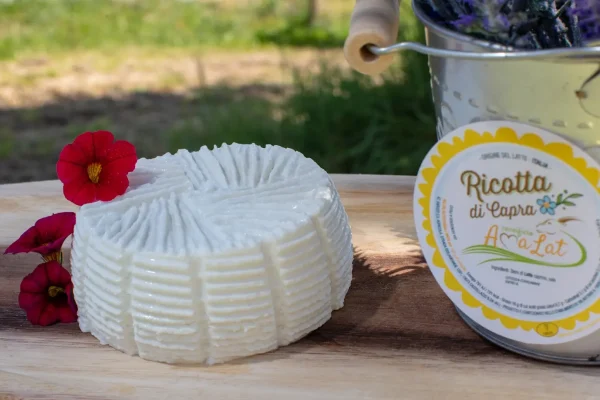 Ricotta di capra