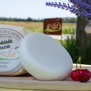Robiola fresca di capra