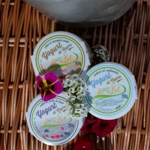 Yogurt intero di capra